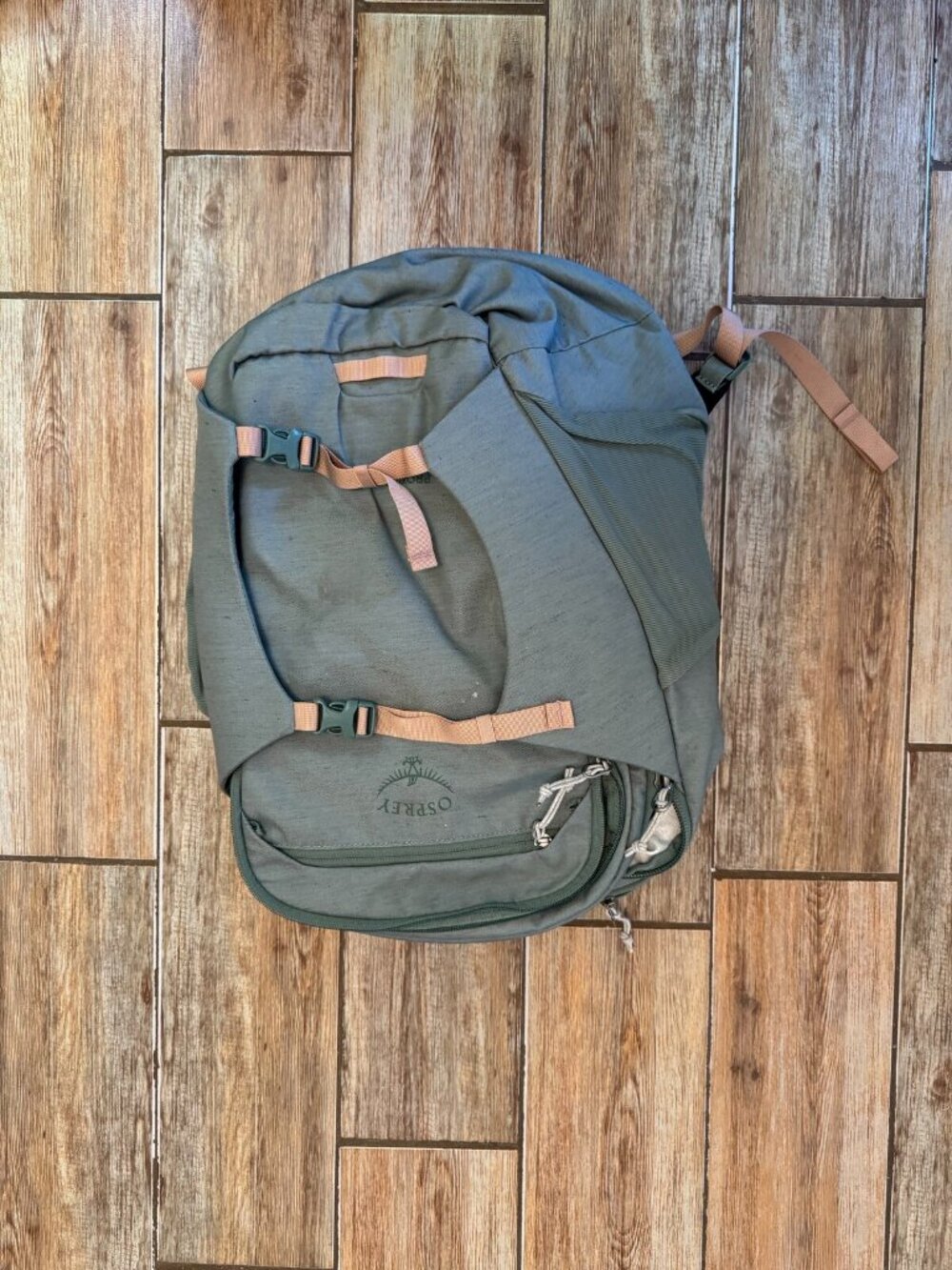Osprey Proxima Earth Backpack